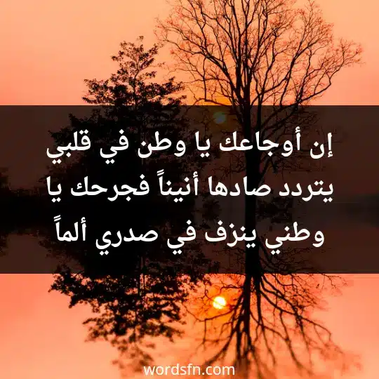 إن أوجاعك يا وطن في قلبي يتردد صادها أنيناً فجرحك يا وطني ينزف في صدري ألماً