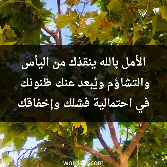 الأمل بالله ينقذك من اليأس والتشاؤم، ويُبعد عنك ظنونك في احتمالية فشلك وإخفاقك