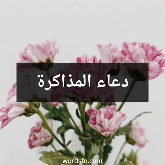 دعاء المذاكرة