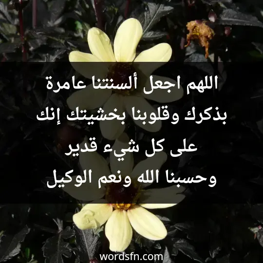 اللهم اجعل ألسنتنا عامرة بذكرك، وقلوبنا بخشيتك، إنك على كل شيء قدير وحسبنا الله ونعم الوكيل