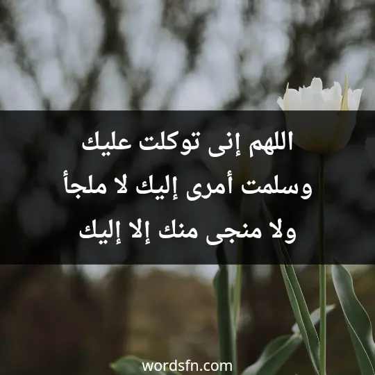 اللهم إنى توكلت عليك، وسلمت أمرى إليك، لا ملجأ ولا منجى منك إلا إليك.