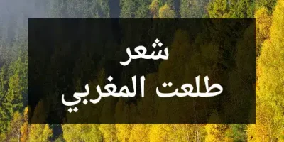 شعر طلعت المغربي