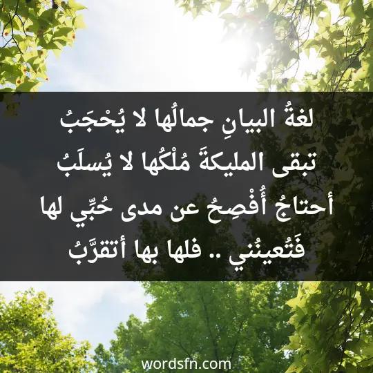 Talaat Al-Maghribis poetry2 - فن العبارات لغةُ البيانِ جمالُها لا يُحْجَبُ تبقى المليكةَ مُلْكُها لا يُسلَبُ أحتاجُ أُفْصِحُ عن مدى حُبِّي لها فَتُعينُني .. فلها بها أتقرَّبُ