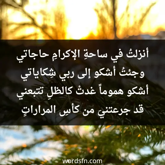 Talaat Al-Maghribis poetry3 - فن العبارات أنزلتُ في ساحةِ الإكرامِ حاجاتي وجئتُ أشكو إلى ربي شِكاياتي أشكو هموماً غدتْ كالظلِ تتبعني قد جرعتنيَ من كأسِ المراراتِِ