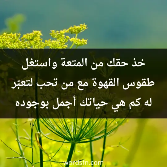 خذ حقك من المتعة واستغل طقوس القهوة مع من تحب لتعبّر له كم هي حياتك أجمل بوجوده.