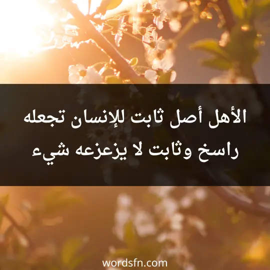 الأهل أصل ثابت للإنسان، تجعله راسخ وثابت لا يزعزعه شيء