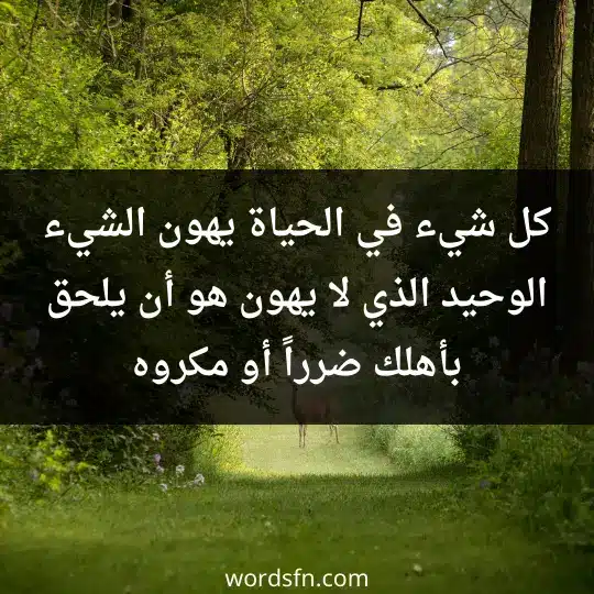 كل شيء في الحياة يهون، الشيء الوحيد الذي لا يهون هو أن يلحق بأهلك ضرراً أو مكروه