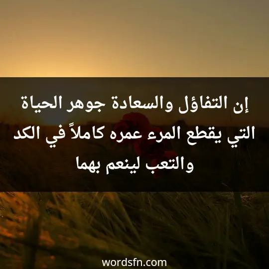 Talk about optimism and hope3 - فن العبارات إن التفاؤل والسعادة جوهر الحياة التي يقطع المرء عمره كاملاً في الكد والتعب لينعم بهما