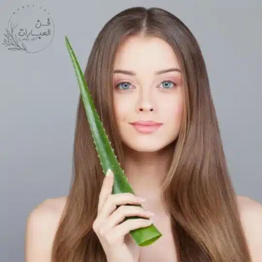 The importance of aloe vera for the skin - فن العبارات فوائد الصبار للبشرة