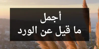 أجمل ما قيل عن الورد