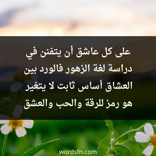 The most beautiful thing said about roses 2 - فن العبارات على كل عاشق أن يتفنن في دراسة لغة الزهور، فالورد بين العشاق أساس ثابت لا يتغير، هو رمز للرقة والحب والعشق