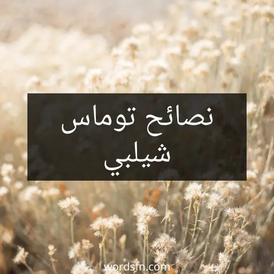 نصائح توماس شيلبي