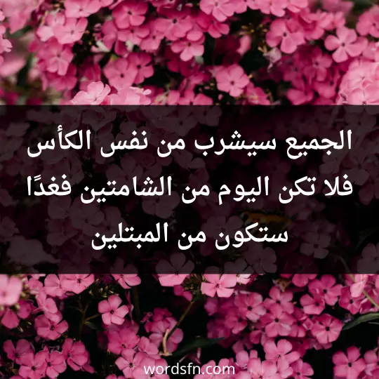 الجميع سيشرب من نفس الكأس فلا تكن اليوم من الشامتين، فغدًا ستكون من المبتلين.