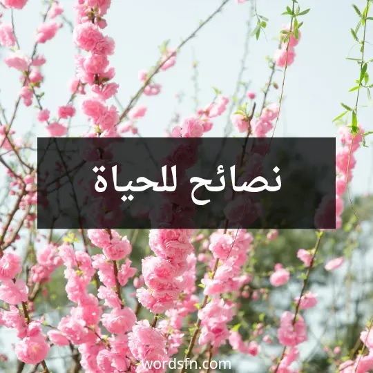 نصائح للحياة قصيرة