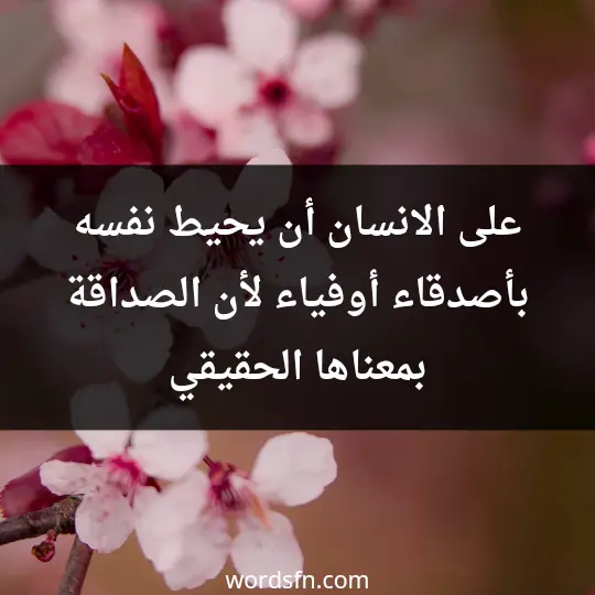 Tips for life 2 - فن العبارات على الانسان أن يحيط نفسه بأصدقاء أوفياء لأن الصداقة بمعناها الحقيقي