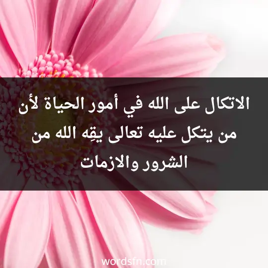 Tips for life 3 - فن العبارات الاتكال على الله في أمور الحياة لأن من يتكل عليه تعالى يقِه الله من الشرور والازمات