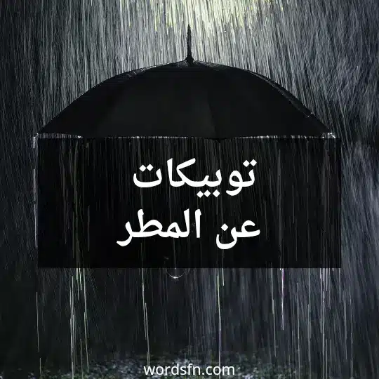 توبيكات عن المطر