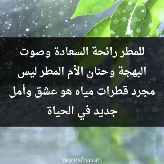 للمطر رائحة السعادة، وصوت البهجة، وحنان الأم، المطر ليس مجرد قطرات مياه، هو عشق وأمل جديد في الحياة