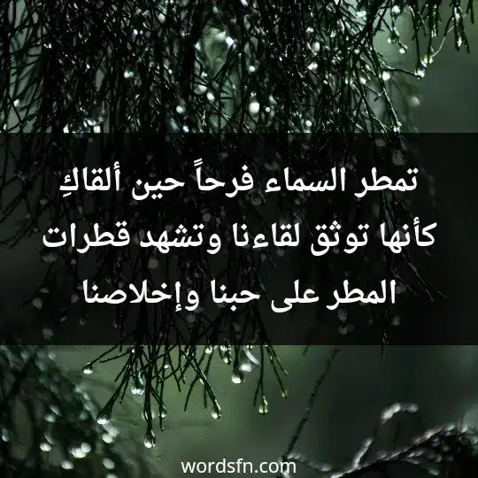 تمطر السماء فرحاً حين ألقاكِ، كأنها توثق لقاءنا، وتشهد قطرات المطر على حبنا وإخلاصنا