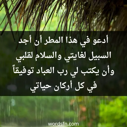 أدعو في هذا المطر أن أجد السبيل لغايتي، والسلام لقلبي، وأن يكتب لي رب العباد توفيقاً في كل أركان حياتي