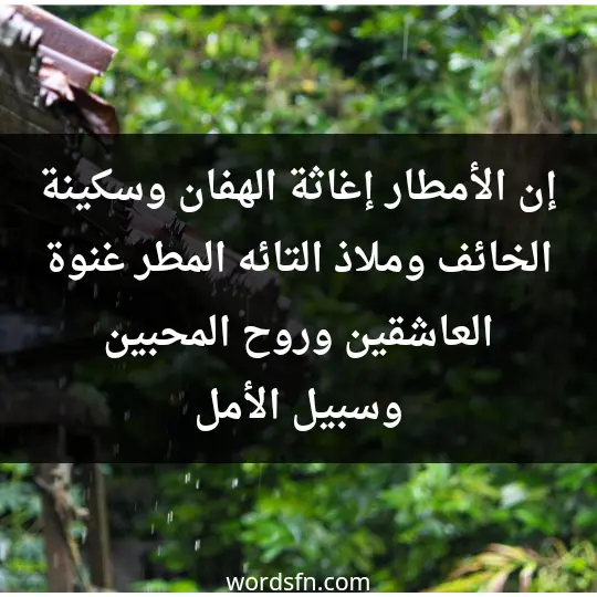 إن الأمطار إغاثة للهفان، وسكينة الخائف وملاذ التائه، المطر غنوة العاشقين وروح المحبين وسبيل الأمل
