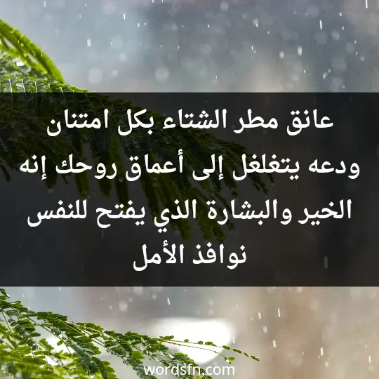 عانق مطر الشتاء بكل امتنان ودعه يتغلغل إلى أعماق روحك إنه الخير والبشارة الذي يفتح للنفس نوافذ الأمل