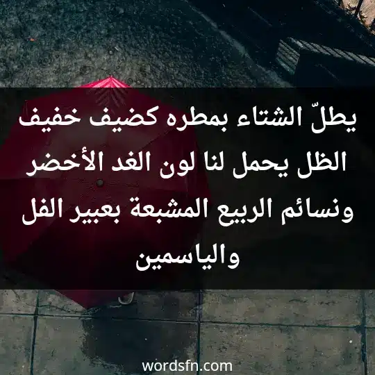 يطلّ الشتاء بمطره كضيف خفيف الظل يحمل لنا لون الغد الأخضر ونسائم الربيع المشبعة بعبير الفل والياسمين