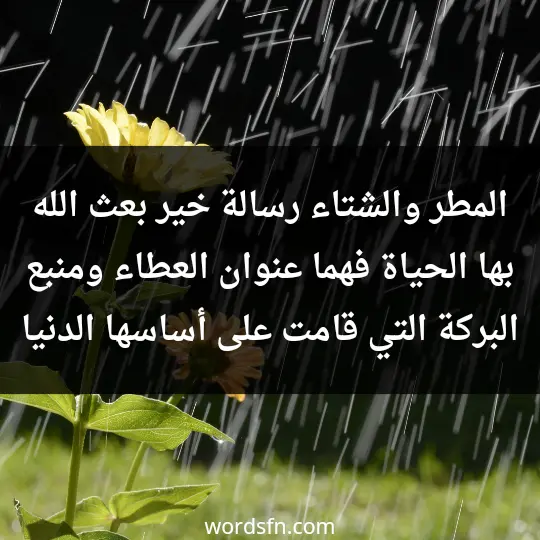 المطر والشتاء رسالة خير بعث الله بها الحياة، فهما عنوان العطاء ومنبع البركة التي قامت على أساسها الدنيا