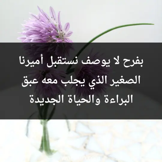 Words for the newborn1 - فن العبارات بفرح لا يوصف، نستقبل أميرنا الصغير الذي يجلب معه عبق البراءة والحياة الجديدة