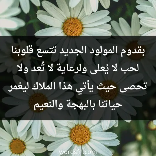 Words for the newborn3 - فن العبارات بقدوم المولود الجديد، تتسع قلوبنا لحب لا يُعلى ولرعاية لا تُعد ولا تحصى، حيث يأتي هذا الملاك ليغمر حياتنا بالبهجة والنعيم