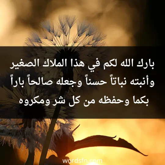 Words of congratulations for a new baby 3 - فن العبارات بارك الله لكم في هذا الملاك الصغير، وأنبته نباتاً حسناً وجعله صالحاً باراً بكما، وحفظه من كل شر ومكروه وسوء