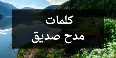كلمات مدح صديق