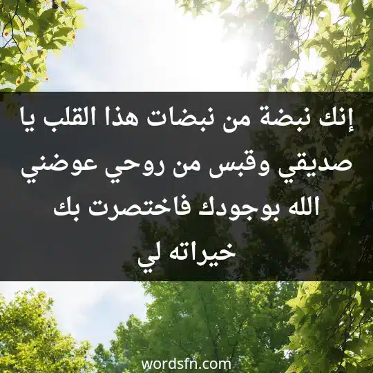 إنك نبضة من نبضات هذا القلب يا صديقي وقبس من روحي، عوضني الله بوجودك فاختصرت بك خيراته لي