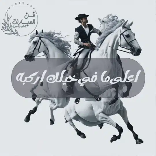 اعلى ما في خيلك اركبه - فن العبارات اعلى ما في خيلك اركبه