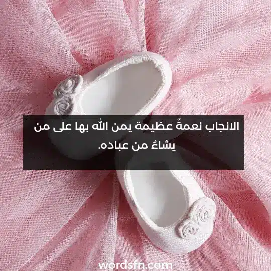 فالانجاب نعمةُ عظيمة. يمن الله بها على من يشاءُ من عباده.