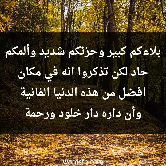 A message of condolence2 - فن العبارات بلاءكم كبير، وحزنكم شديد وألمكم حاد، لكن تذكروا انه في مكان افضل من هذه الدنيا الفانية، وأن داره دار خلود ورحمة.