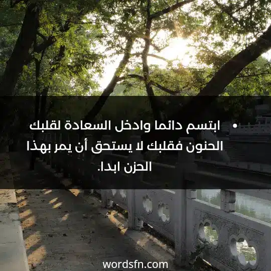 ابتسم دائما وادخل السعادة لقلبك الحنون فقلبك لا يستحق أن يمر بهذا الحزن ابدا.