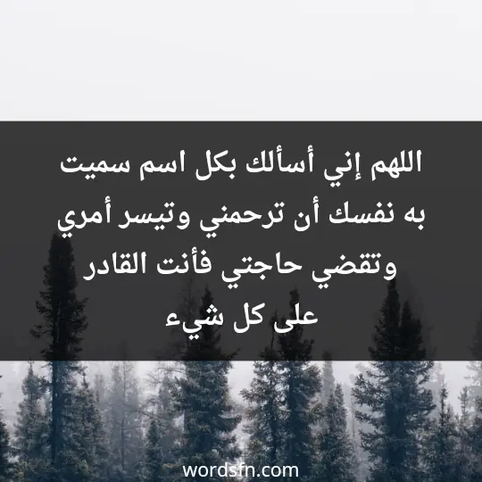 اللهم إني أسألك بكل اسم سميت به نفسك أن ترحمني وتيسر أمري وتقضي حاجتي فأنت القادر على كل شيء - فن العبارات اللهم إني أسألك بكل اسم سميت به نفسك أن ترحمني وتيسر أمري وتقضي حاجتي فأنت القادر على كل شيء