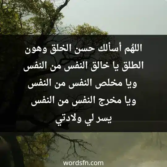 اللهُم أسألك حسن الخلق وهون الطلق، يا خالق النفس من النفس. ويا مخلص النفس من النفس، ويا مخرج النفس من النفس يسر لي ولادتي - فن العبارات اللهُم أسألك حسن الخلق وهون الطلق، يا خالق النفس من النفس. ويا مخلص النفس من النفس، ويا مخرج النفس من النفس يسر لي ولادتي