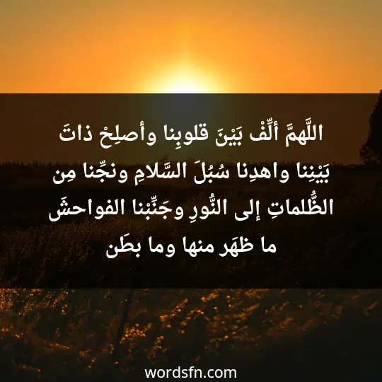 اللَّهمَّ ألِّفْ بَيْنَ قلوبِنا وأصلِحْ ذاتَ بَيْنِنا واهدِنا سُبُلَ السَّلامِ ونجِّنا مِن الظُّلماتِ إلى النُّورِ وجَنِّبْنا الفواحشَ ما ظهَر منها وما بطَن