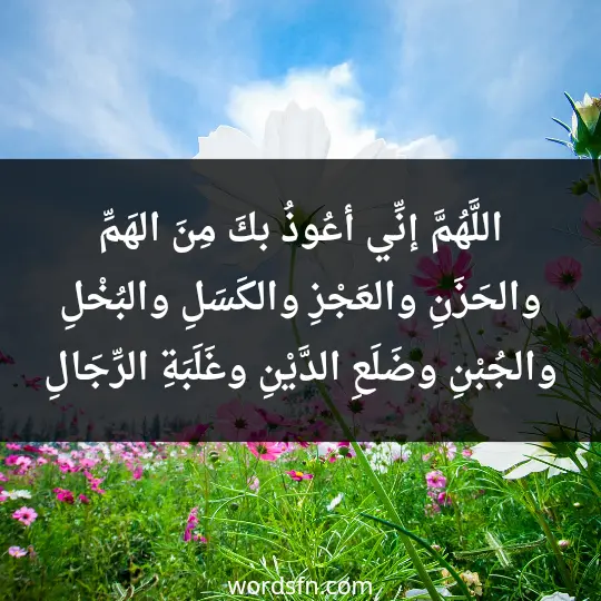 اللَّهُمَّ إنِّي أعُوذُ بكَ مِنَ الهَمِّ والحَزَنِ، والعَجْزِ والكَسَلِ، والبُخْلِ والجُبْنِ، وضَلَعِ الدَّيْنِ، وغَلَبَةِ الرِّجَالِ - فن العبارات اللَّهُمَّ إنِّي أعُوذُ بكَ مِنَ الهَمِّ والحَزَنِ، والعَجْزِ والكَسَلِ، والبُخْلِ والجُبْنِ، وضَلَعِ الدَّيْنِ، وغَلَبَةِ الرِّجَالِ