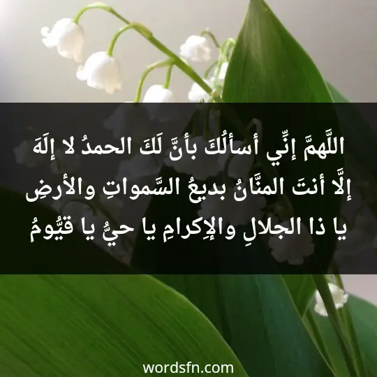 اللَّهمَّ إنِّي أسألُكَ بأنَّ لَكَ الحمدُ لا إلَهَ إلَّا أنتَ المنَّانُ بديعُ السَّمواتِ والأرضِ يا ذا الجلالِ والإِكرامِ يا حيُّ يا قيُّومُ - فن العبارات اللَّهمَّ إنِّي أسألُكَ بأنَّ لَكَ الحمدُ لا إلَهَ إلَّا أنتَ المنَّانُ بديعُ السَّمواتِ والأرضِ يا ذا الجلالِ والإِكرامِ يا حيُّ يا قيُّومُ