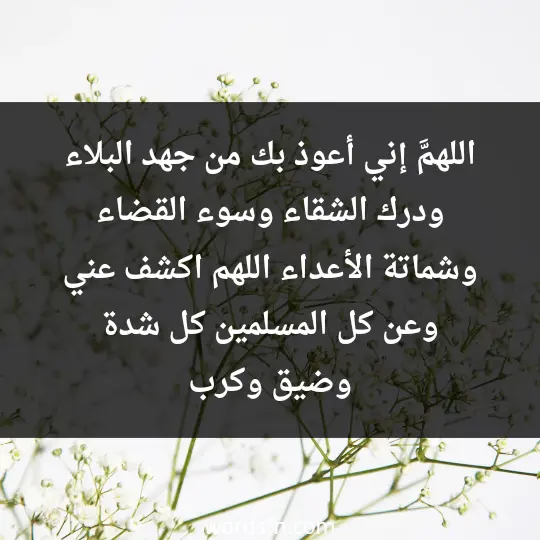 اللهمَّ إني أعوذ بك من جهد البلاء ودرك الشقاء، وسوء القضاء وشماتة الأعداء، اللهم اكشف عني وعن كل المسلمين كل شدة وضيق وكرب - فن العبارات اللهمَّ إني أعوذ بك من جهد البلاء ودرك الشقاء، وسوء القضاء وشماتة الأعداء، اللهم اكشف عني وعن كل المسلمين كل شدة وضيق وكرب