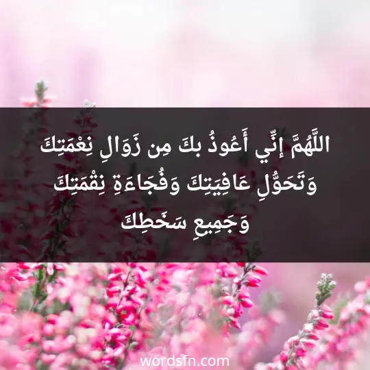 اللَّهُمَّ إنِّي أَعُوذُ بكَ مِن زَوَالِ نِعْمَتِكَ، وَتَحَوُّلِ عَافِيَتِكَ، وَفُجَاءَةِ نِقْمَتِكَ، وَجَمِيعِ سَخَطِكَ - فن العبارات اللَّهُمَّ إنِّي أَعُوذُ بكَ مِن زَوَالِ نِعْمَتِكَ، وَتَحَوُّلِ عَافِيَتِكَ، وَفُجَاءَةِ نِقْمَتِكَ، وَجَمِيعِ سَخَطِكَ