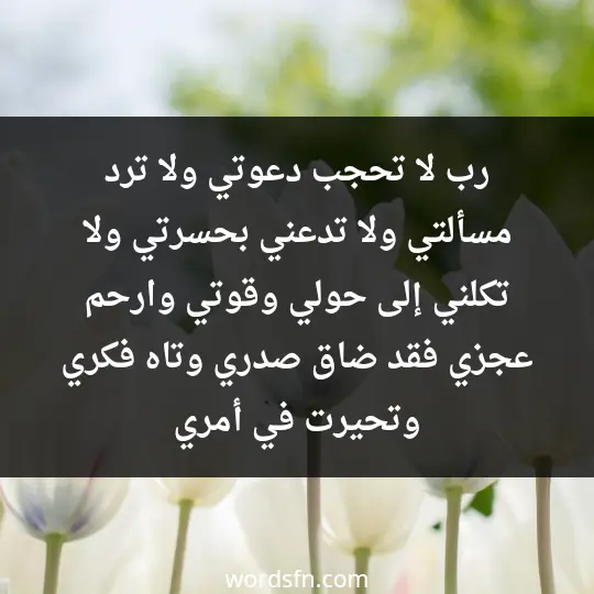 رب لا تحجب دعوتي، ولا ترد مسألتي، ولا تدعني بحسرتي، ولا تكلني إلى حولي وقوتي، وارحم عجزي فقد ضاق صدري، وتاه فكري وتحيرت في أمري