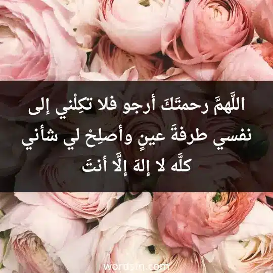 اللَّهمَّ رحمتَكَ أرجو فلا تكِلْني إلى نفسي طرفةَ عينٍ وأصلِحْ لي شأني كلَّه لا إلهَ إلَّا أنتَ - فن العبارات اللَّهمَّ رحمتَكَ أرجو فلا تكِلْني إلى نفسي طرفةَ عينٍ وأصلِحْ لي شأني كلَّه لا إلهَ إلَّا أنتَ