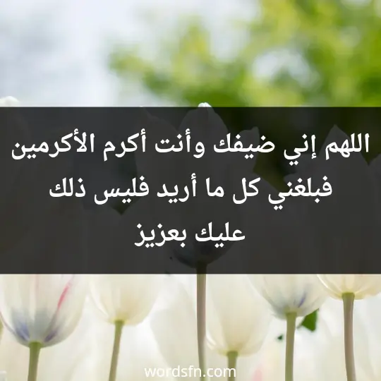 اللهم إني ضيفك وأنت أكرم الأكرمين فبلغني كل ما أريد فليس ذلك عليك بعزيز - فن العبارات اللهم إني ضيفك وأنت أكرم الأكرمين فبلغني كل ما أريد فليس ذلك عليك بعزيز