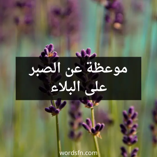 موعظة عن الصبر على البلاء