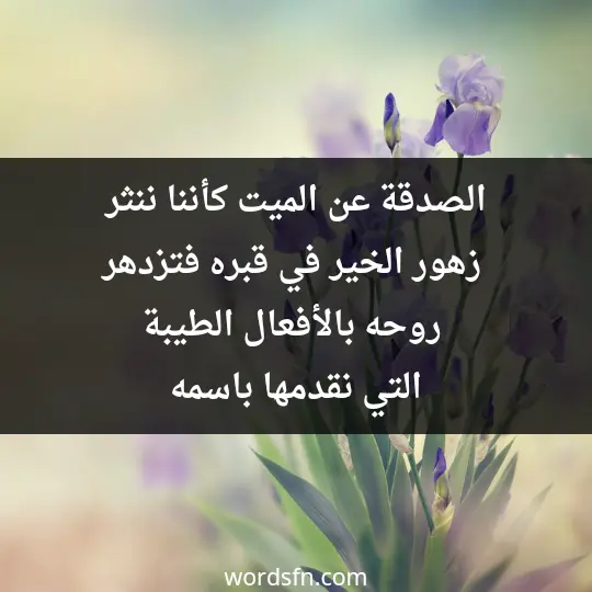 الصدقة عن الميت كأننا ننثر زهور الخير في قبره، فتزدهر روحه بالأفعال الطيبة التي نقدمها باسمه