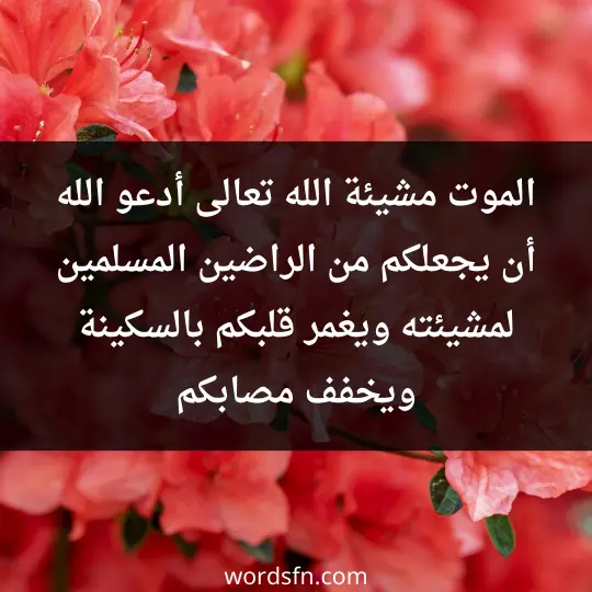 الموت مشيئة الله تعالى، أدعو الله أن يجعلكم من الراضين المسلمين لمشيئته ويغمر قلبكم بالسكينة ويخفف مصابكم